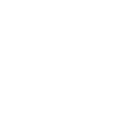 LinkedIn Icon White